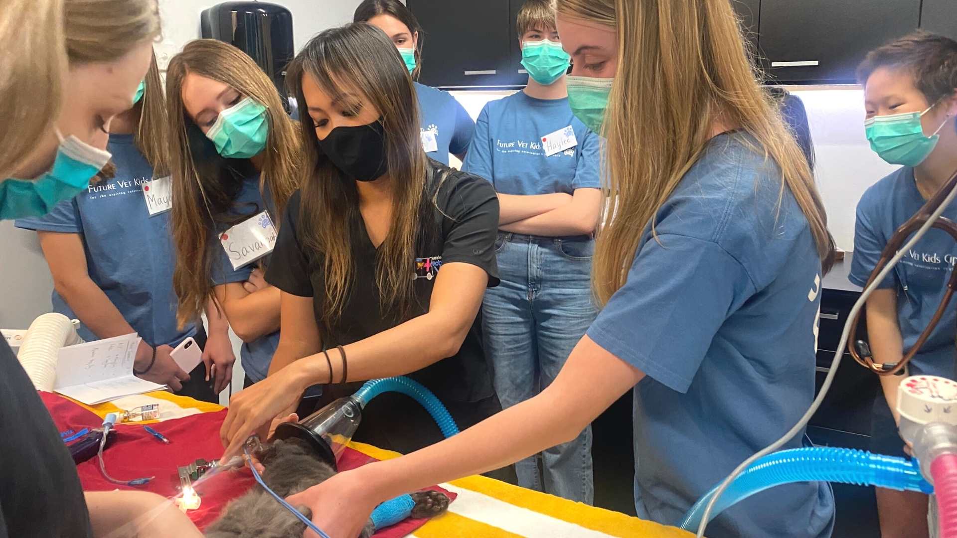 Future Vet Kids Campers watch a surgery