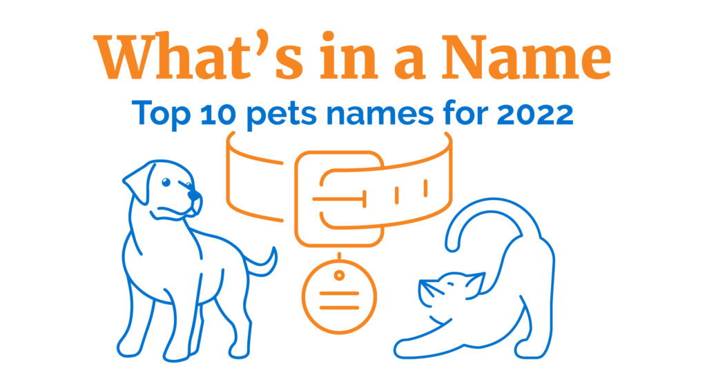Top 10 pet names PetSure