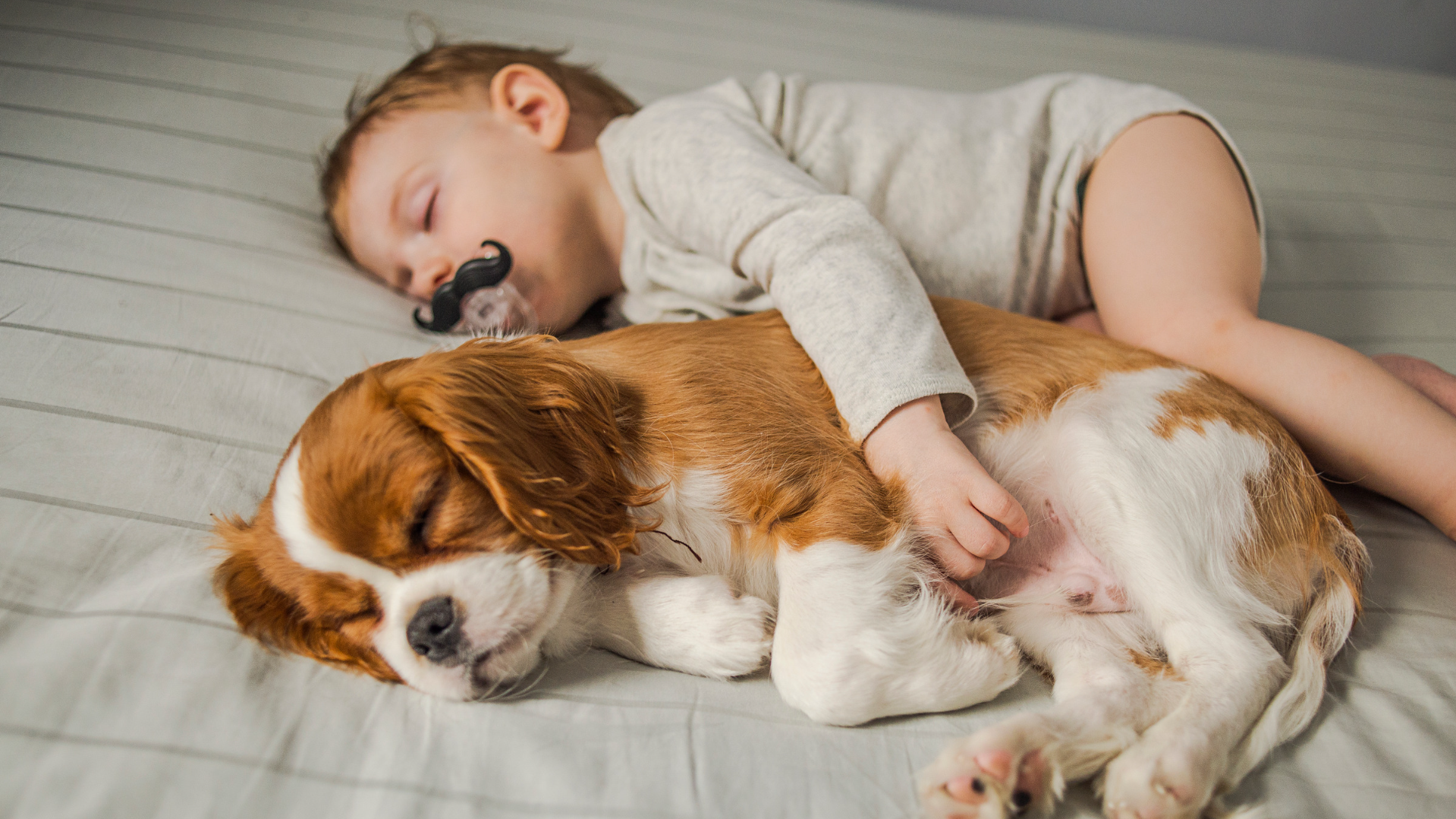 A baby sleeping on a bed while cuddling a small brown and white dog, both peacefully resting.