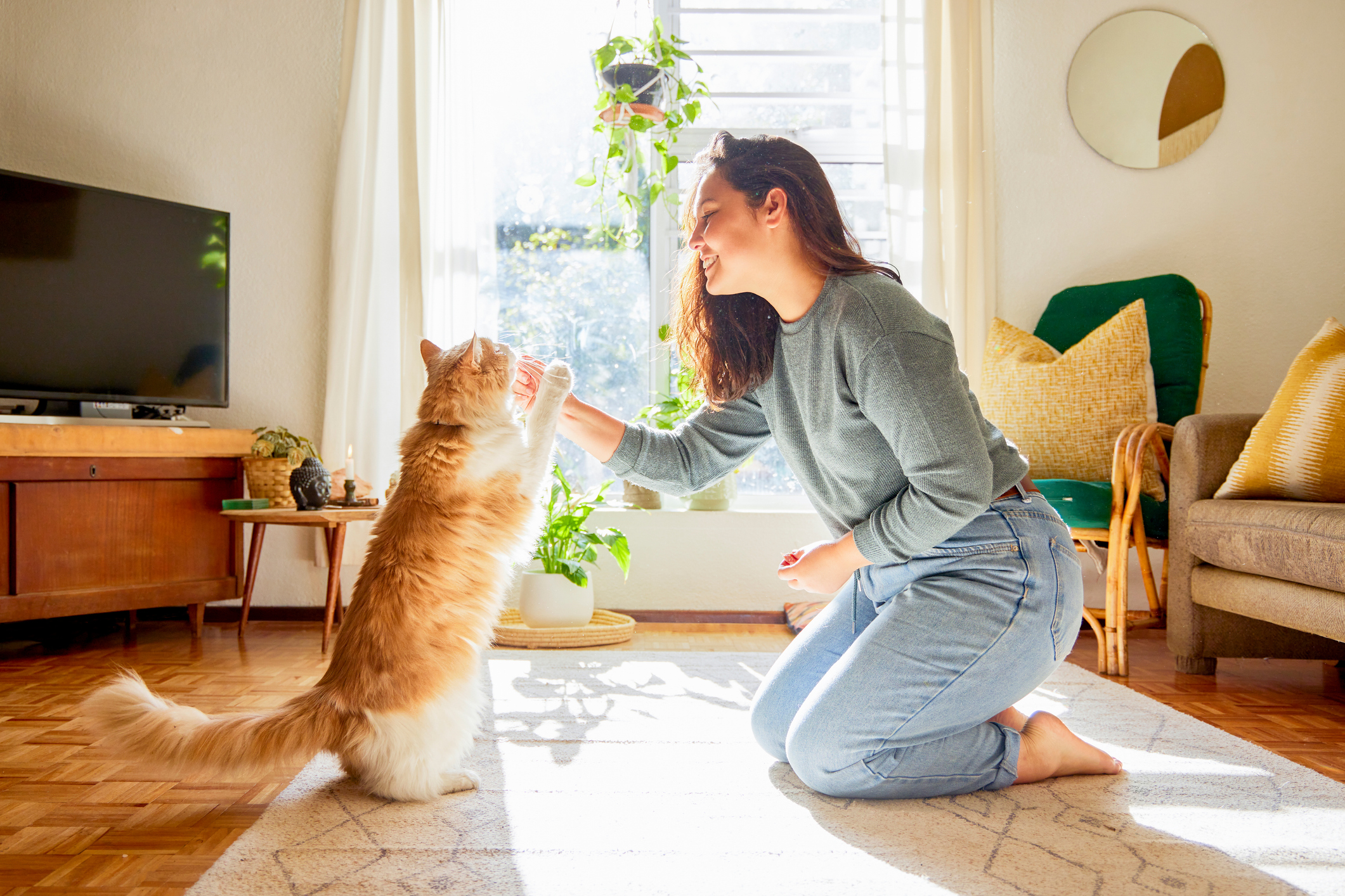 Woman plays with her cat at home.