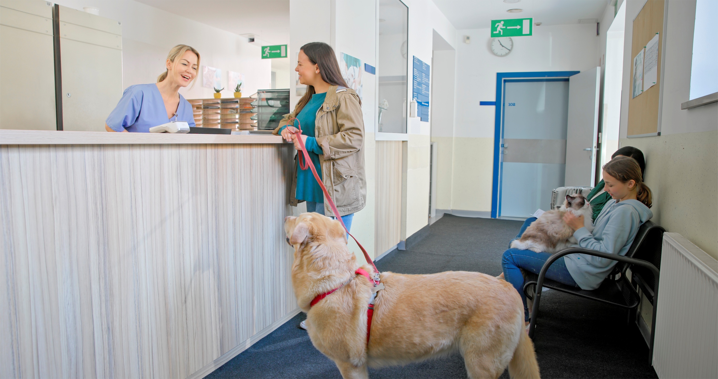 Dog and cat at the vet.